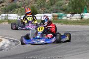 20110501_ales_agnus (3447)
